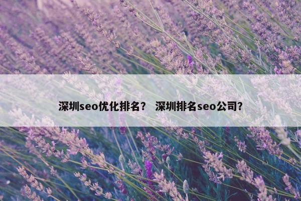 深圳seo优化排名？ 深圳排名seo公司？