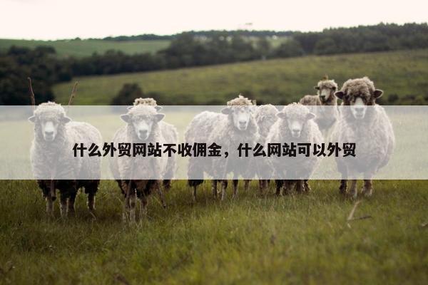 什么外贸网站不收佣金，什么网站可以外贸