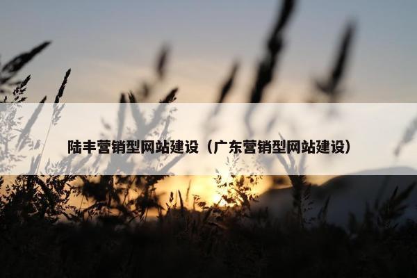 陆丰营销型网站建设（广东营销型网站建设）