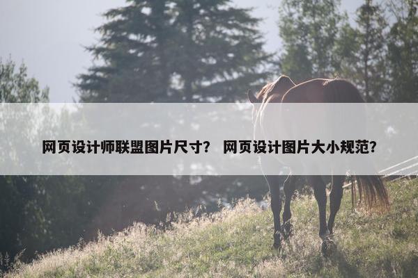 网页设计师联盟图片尺寸？ 网页设计图片大小规范？