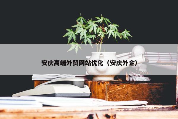 安庆高端外贸网站优化（安庆外企）