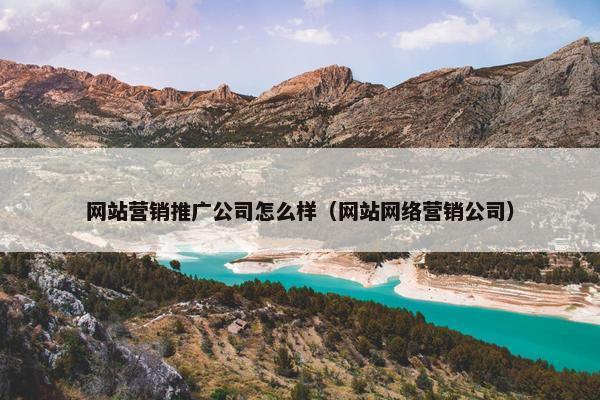 网站营销推广公司怎么样（网站网络营销公司）