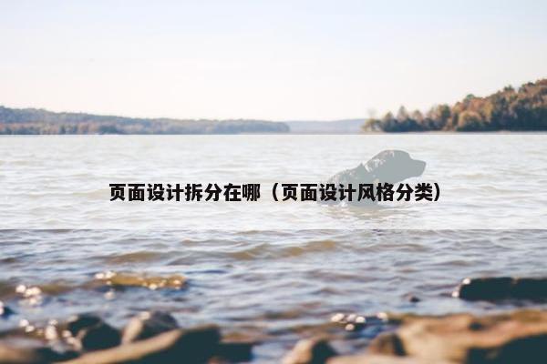 页面设计拆分在哪（页面设计风格分类）