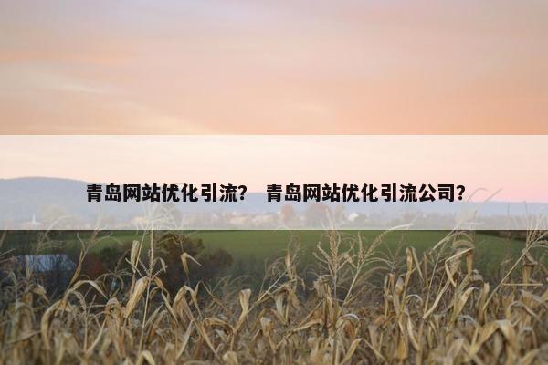 青岛网站优化引流？ 青岛网站优化引流公司？