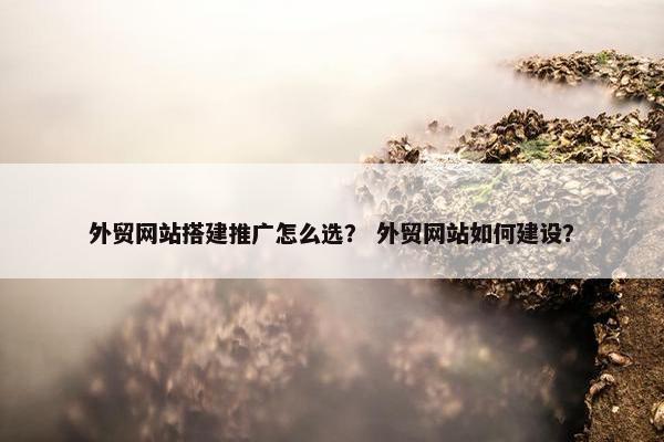 外贸网站搭建推广怎么选？ 外贸网站如何建设？
