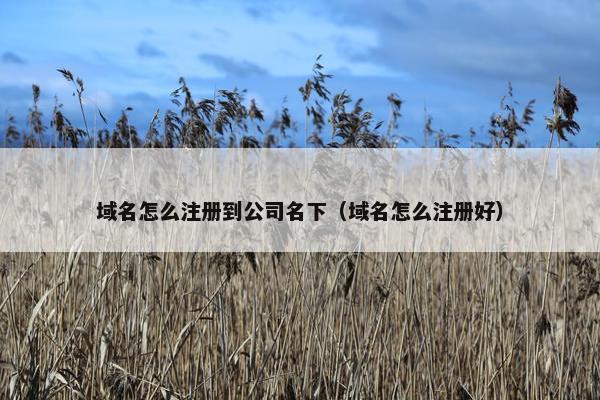 域名怎么注册到公司名下（域名怎么注册好）