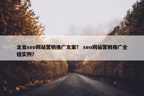 企业seo网站营销推广文案？ seo网站营销推广全程实例？
