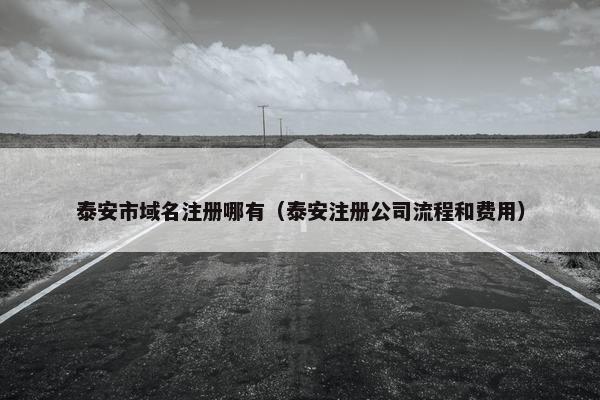 泰安市域名注册哪有（泰安注册公司流程和费用）