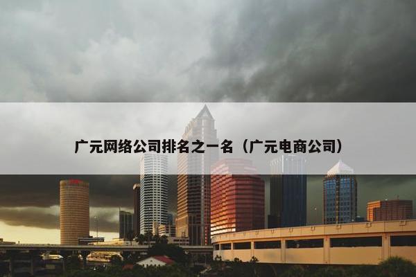 广元网络公司排名之一名（广元电商公司）