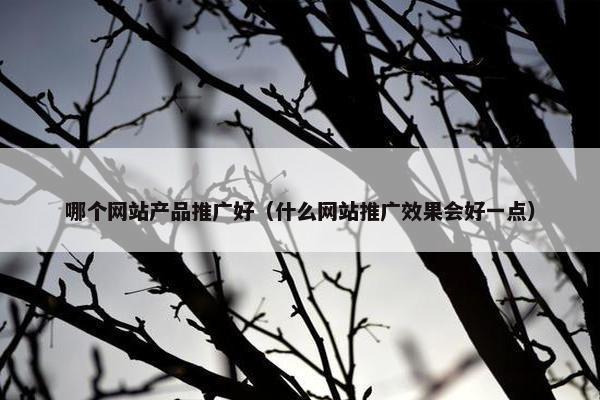 哪个网站产品推广好（什么网站推广效果会好一点）