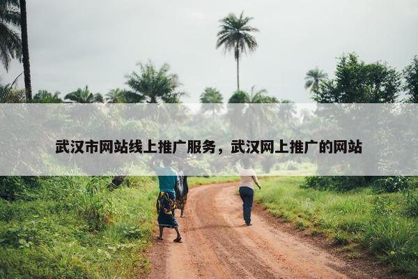 武汉市网站线上推广服务，武汉网上推广的网站