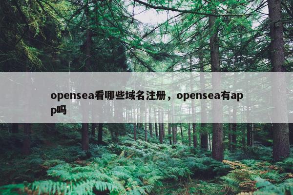 opensea看哪些域名注册，opensea有app吗