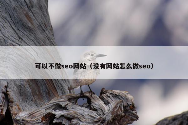可以不做seo网站（没有网站怎么做seo）