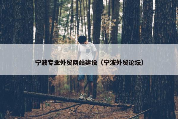 宁波专业外贸网站建设（宁波外贸论坛）
