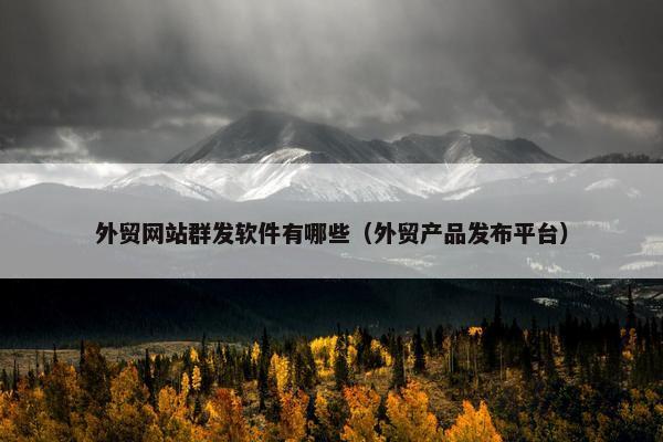 外贸网站群发软件有哪些（外贸产品发布平台）