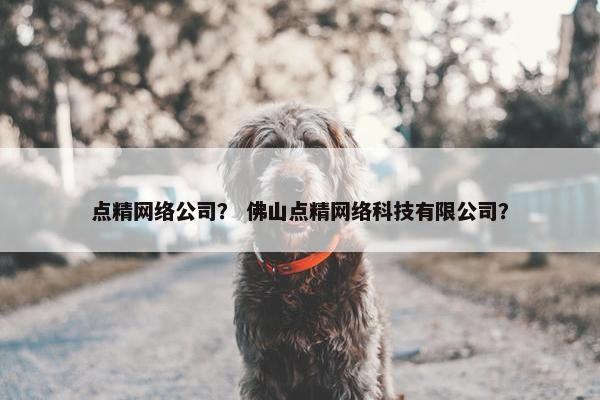 点精网络公司？ 佛山点精网络科技有限公司？