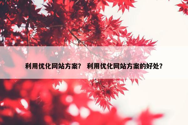利用优化网站方案？ 利用优化网站方案的好处？