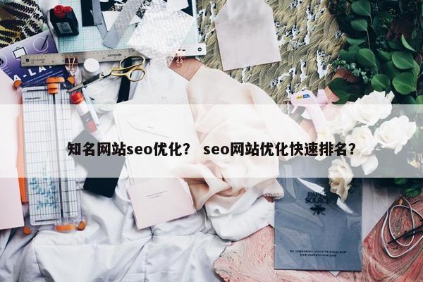 知名网站seo优化？ seo网站优化快速排名？