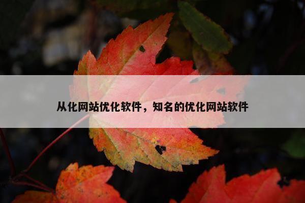 从化网站优化软件，知名的优化网站软件