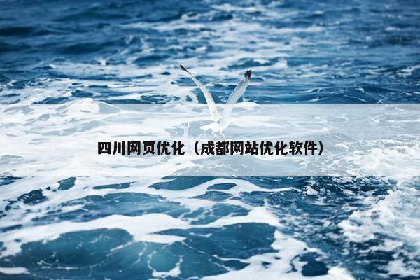 四川网页优化（成都网站优化软件）