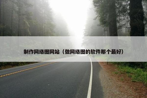 制作网络图网站（做网络图的软件那个最好）