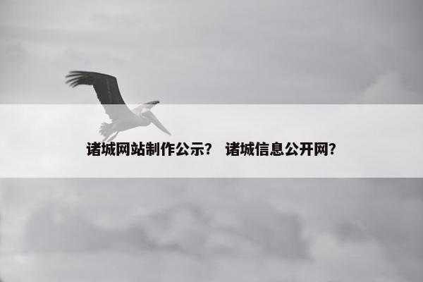 诸城网站制作公示？ 诸城信息公开网？
