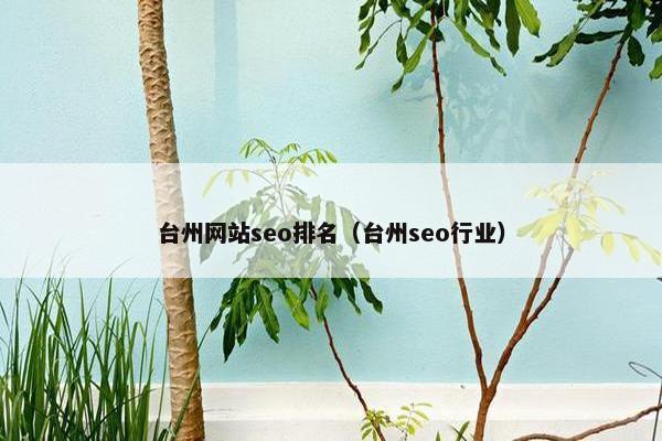 台州网站seo排名（台州seo行业）