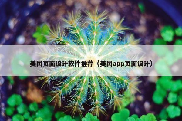 美团页面设计软件推荐（美团app页面设计）