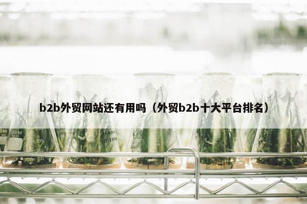 b2b外贸网站还有用吗（外贸b2b十大平台排名）