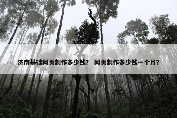 济南基础网页制作多少钱？ 网页制作多少钱一个月？