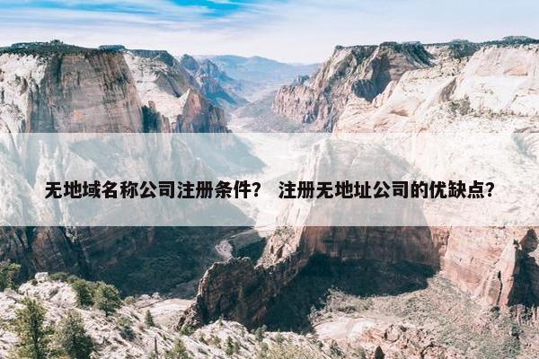 无地域名称公司注册条件？ 注册无地址公司的优缺点？