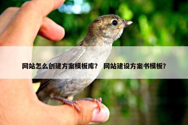 网站怎么创建方案模板库？ 网站建设方案书模板？
