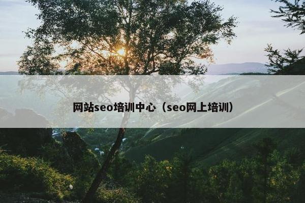网站seo培训中心（seo网上培训）