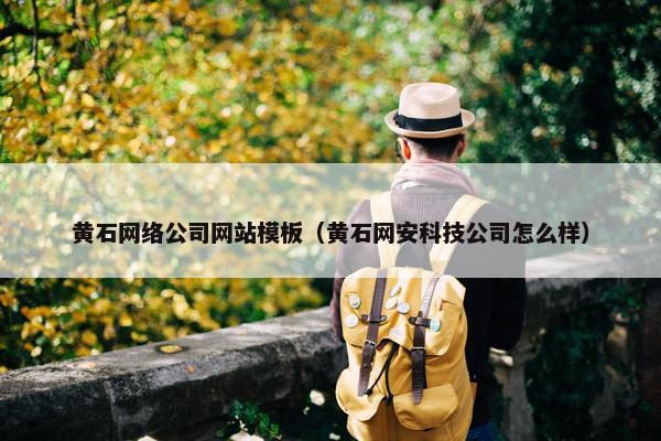 黄石网络公司网站模板（黄石网安科技公司怎么样）