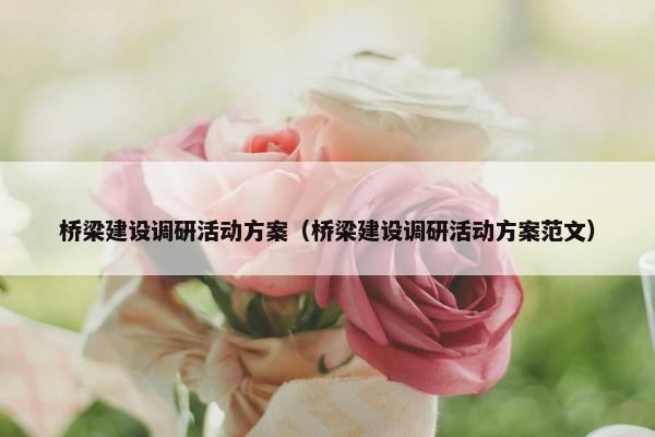 桥梁建设调研活动方案（桥梁建设调研活动方案范文）