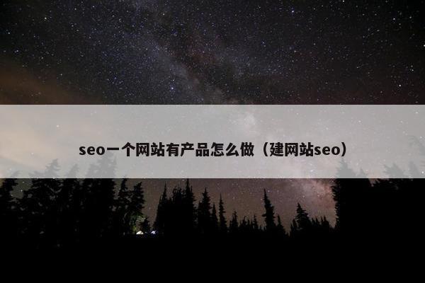 seo一个网站有产品怎么做（建网站seo）