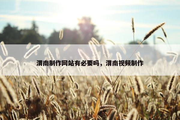 渭南制作网站有必要吗，渭南视频制作