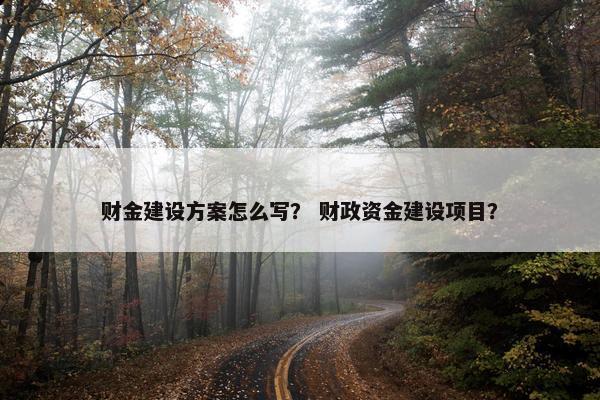 财金建设方案怎么写？ 财政资金建设项目？