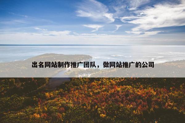 出名网站制作推广团队，做网站推广的公司