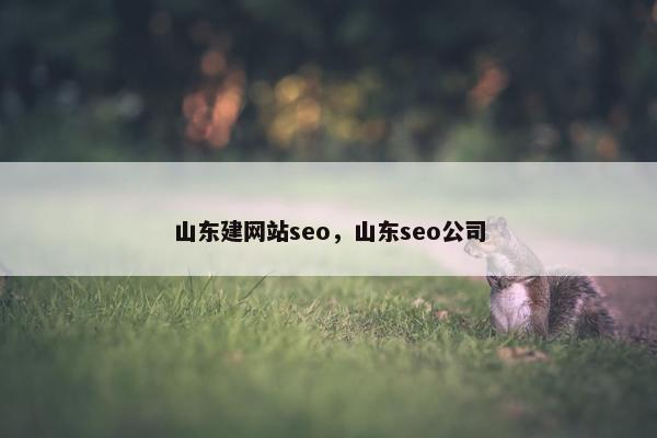 山东建网站seo，山东seo公司