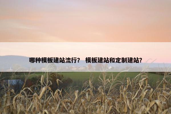哪种模板建站流行？ 模板建站和定制建站？