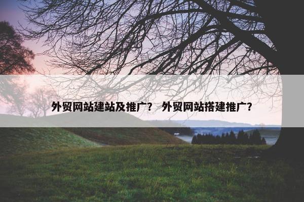外贸网站建站及推广？ 外贸网站搭建推广？