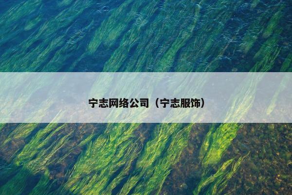 宁志网络公司（宁志服饰）