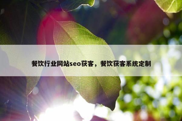 餐饮行业网站seo获客，餐饮获客系统定制