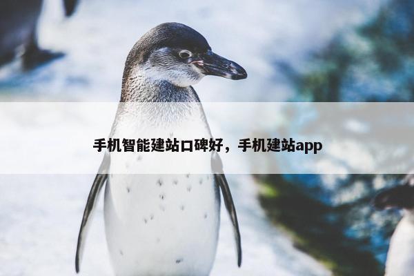 手机智能建站口碑好，手机建站app