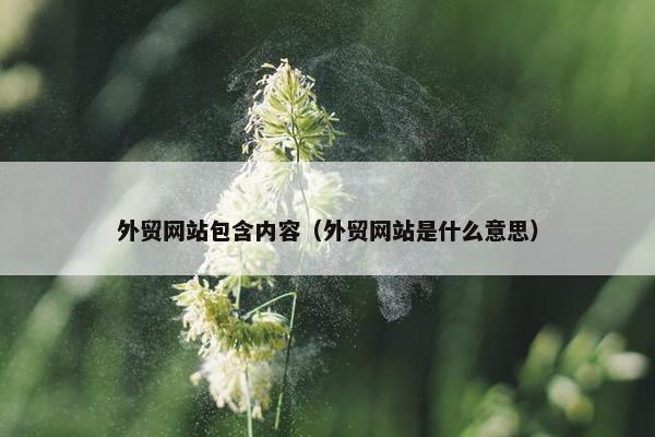 外贸网站包含内容（外贸网站是什么意思）