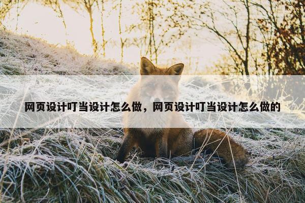 网页设计叮当设计怎么做，网页设计叮当设计怎么做的