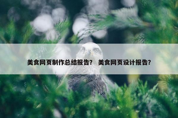 美食网页制作总结报告？ 美食网页设计报告？