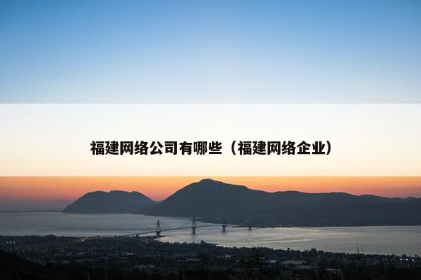 福建网络公司有哪些（福建网络企业）