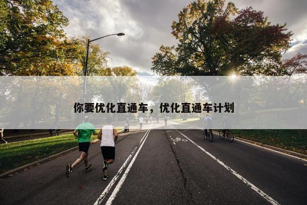 你要优化直通车，优化直通车计划